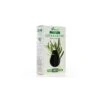 Aceite Esencial De Arbol De Te 15ml Soria Natura