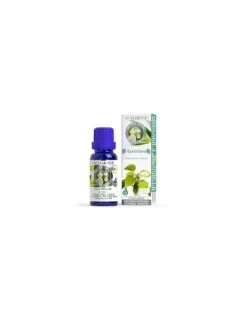 Aceite Esencial Ravintsara Bio 10 Ml Marnys