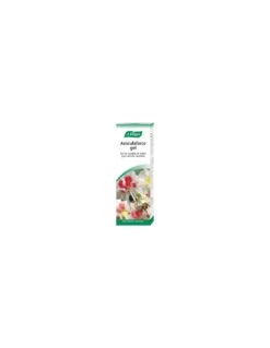 Aesculaforce Gel A. Vogel 1 Envase 100 G