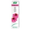 Dentifrico Echinacea A. Vogel 1 Envase 100 G -Farmacia Ventas dentifrico echinacea a vogel 1 envase 100 g