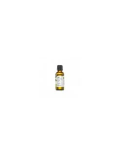 Laurel Aceite Esencial Bio 30 Ml Terpenic