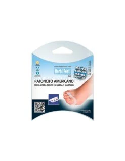 Ratoncito Americano Derecho